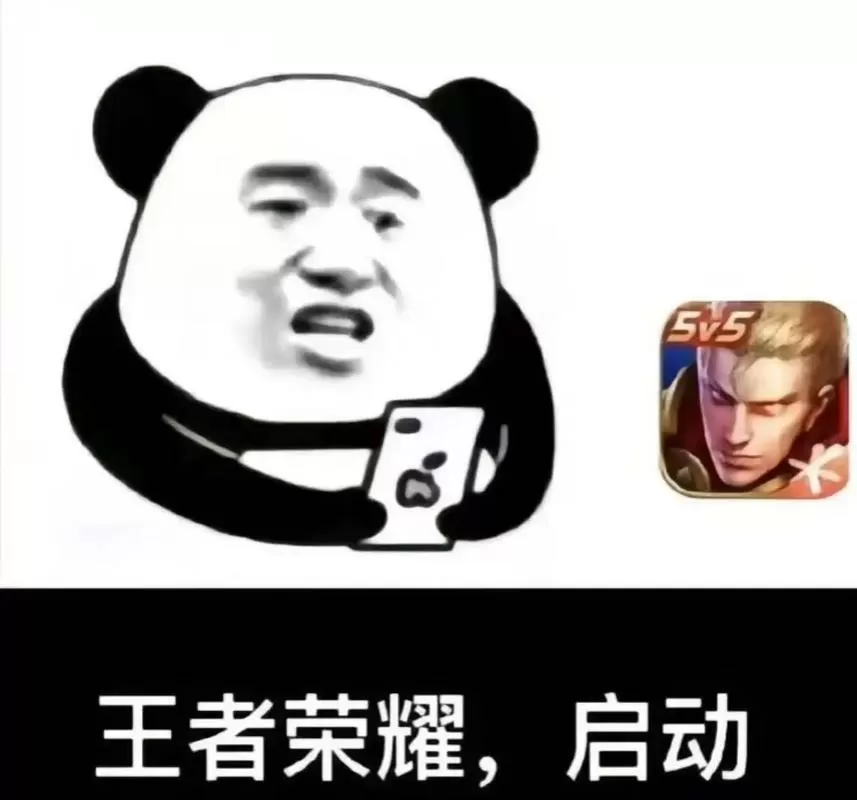 王者荣耀启动表情包