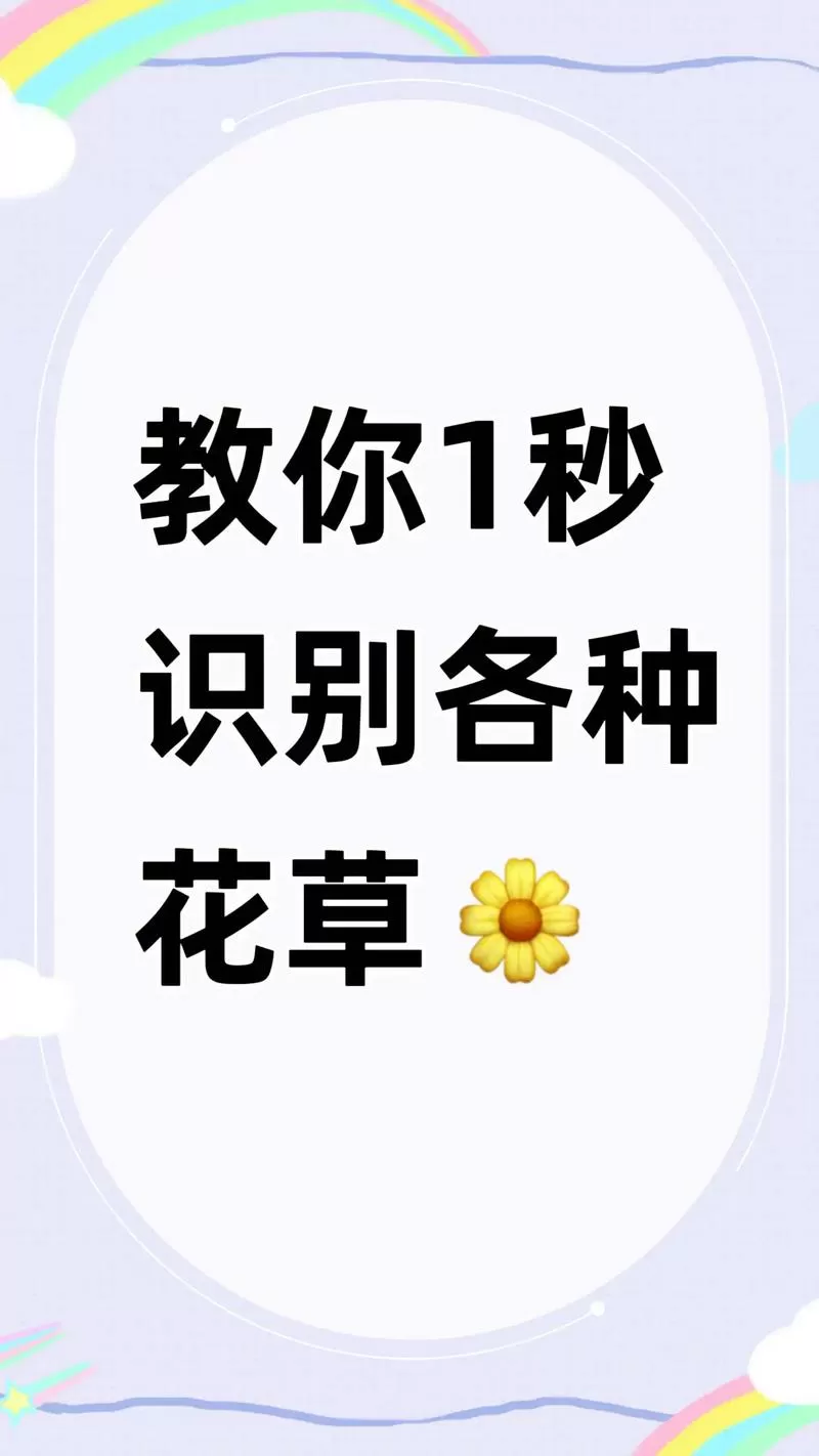 怎样用扫一扫识别花的品种