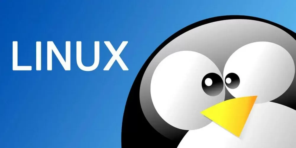 linux远程软件