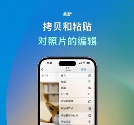 xr怎么开九宫格照个相