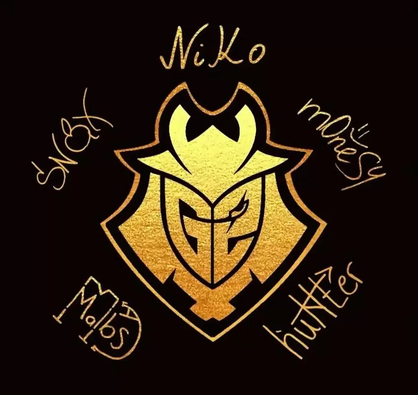 csgo niko