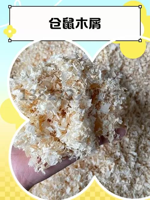 仓鼠可以不放木屑吗