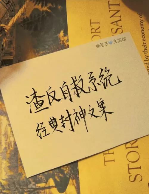 渣反中令人惊艳的句子