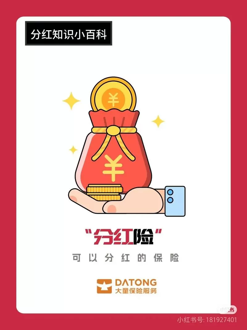 全民保险分红多少