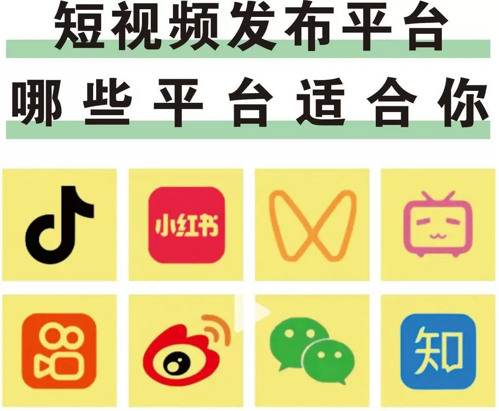 套路短视频app下载官网