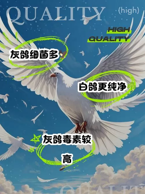 灰鸽和白鸽的营养价值一样吗
