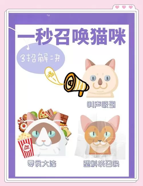 猫咪害怕躲起来怎么让它出来
