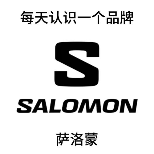 saloy官方正版免费下载