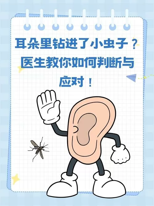 怎样判断耳朵里有虫子