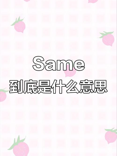samesame什么意思