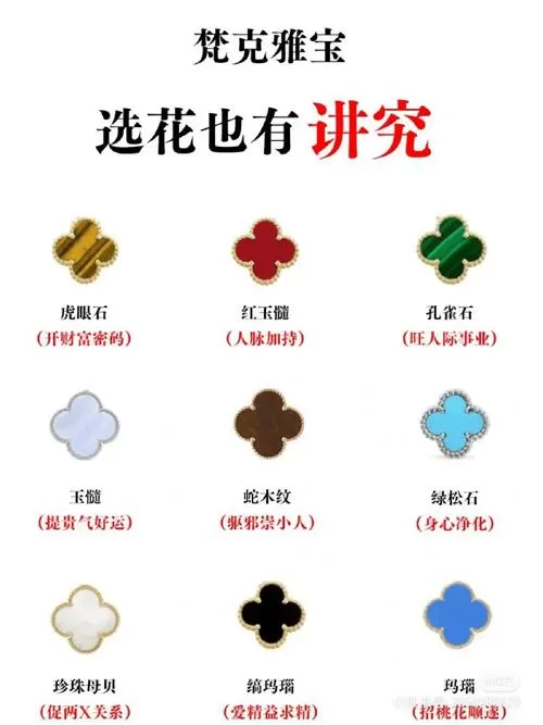 蔷薇守则图文攻略