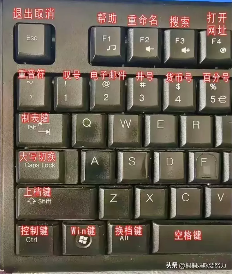 键盘ctrl在哪