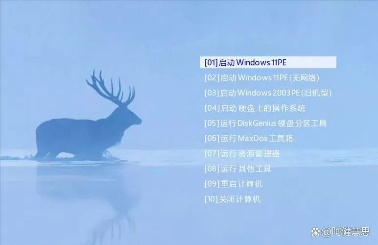 FirPE-V.9.1.img镜像