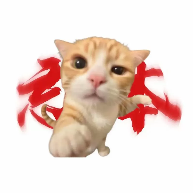 小奶猫超凶表情包