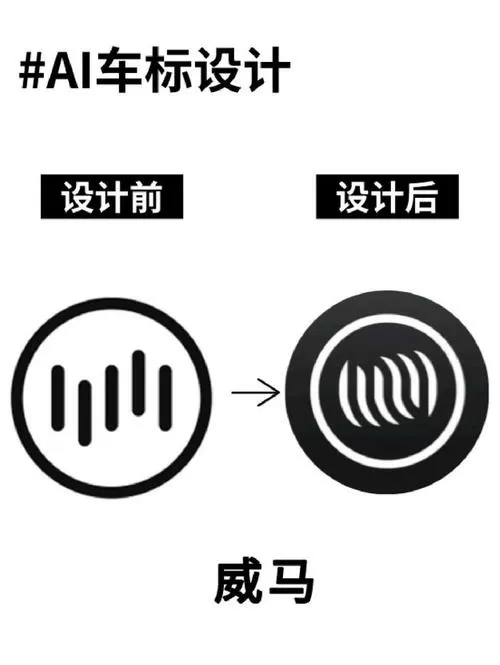 汽车vas是什么意思