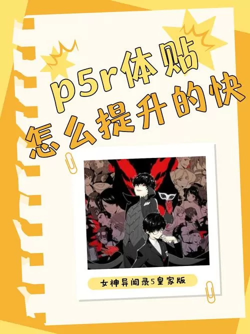 女神异闻录5体贴怎么升