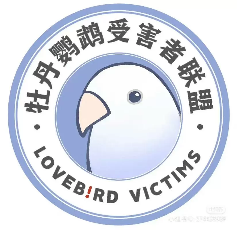 怎么把鹦鹉弄失声