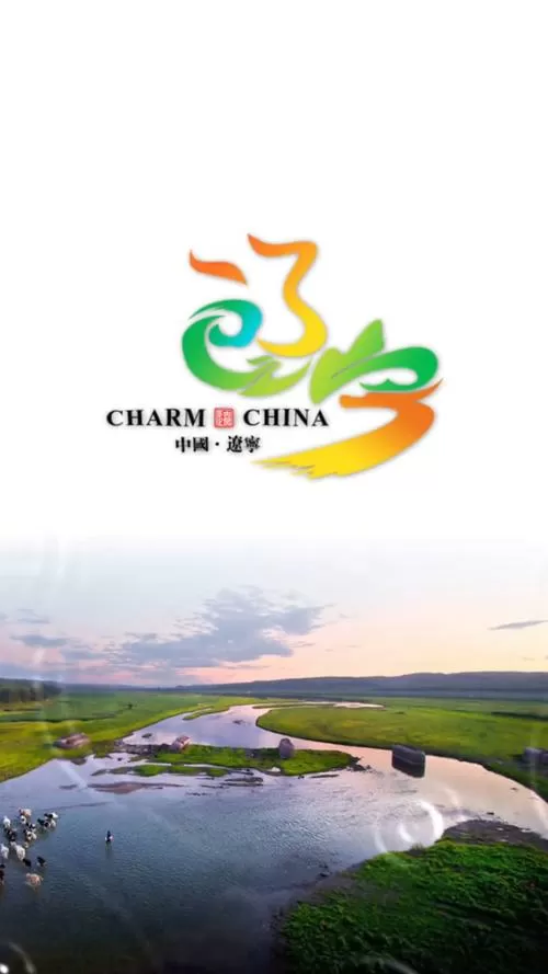 辽宁综合