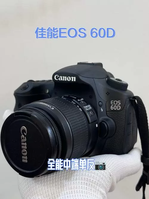 佳能600d和60d