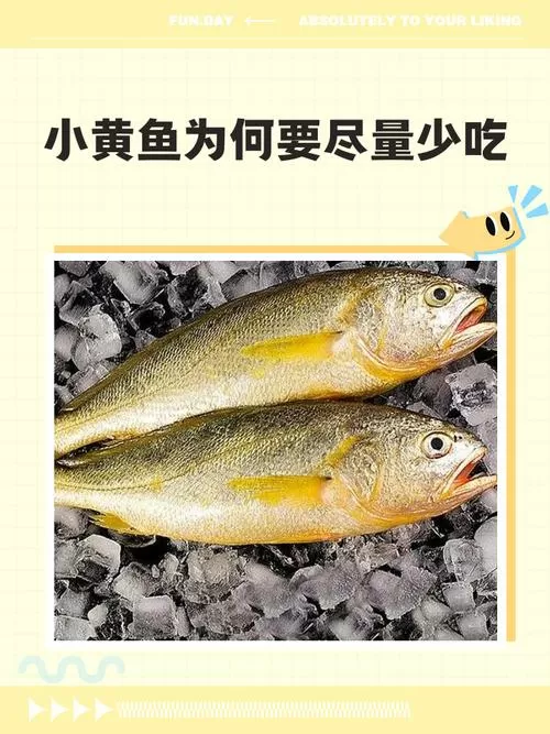 黄花鱼尽量少吃的原因