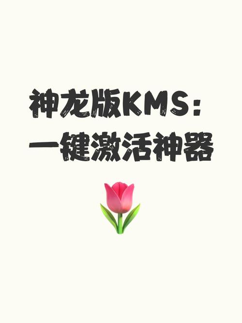神龙激活工具