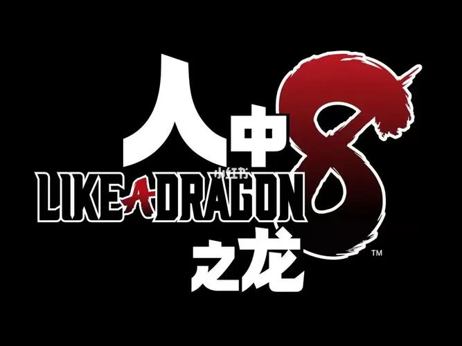 如龙极支线任务全攻略