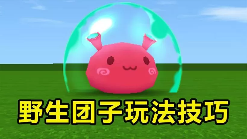 迷你世界野生团子怎么驯服?
