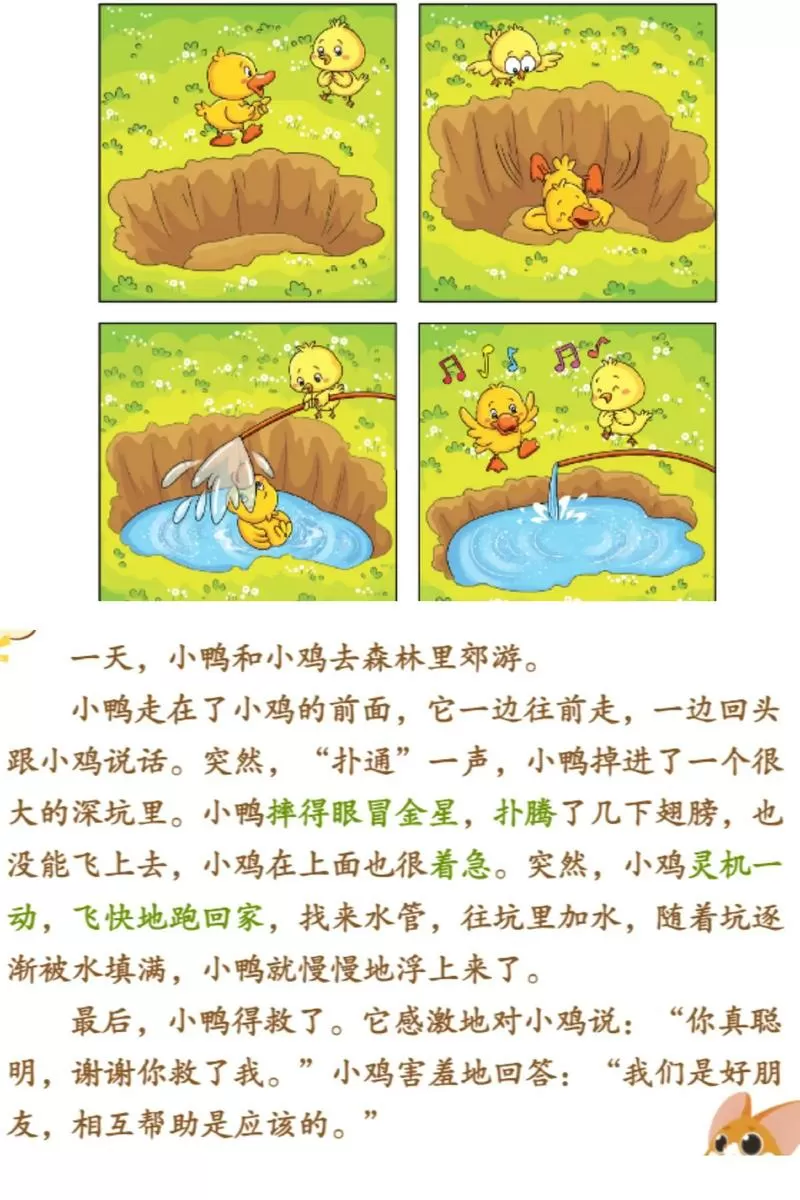 小鸡用水管救小鸭的看图写话