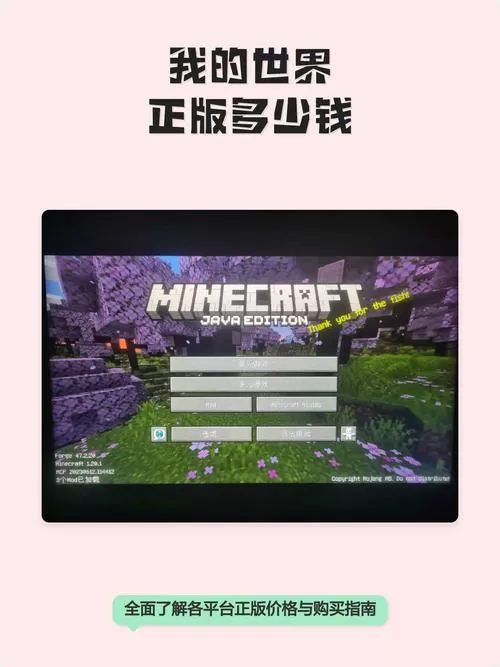 我的世界正版购买方式
