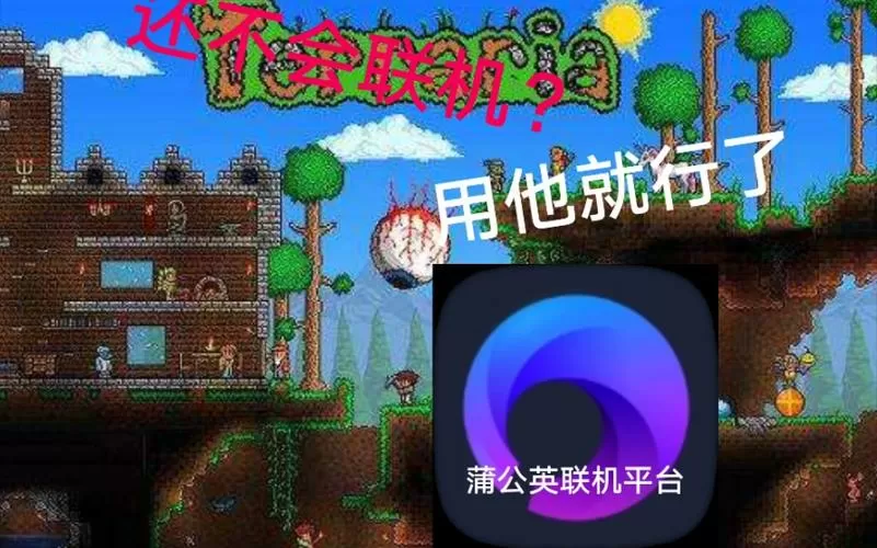 泰拉瑞亚1.3如何远程联机