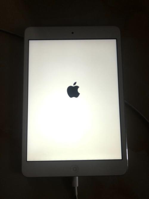 ipad升级后一会白屏一会黑屏