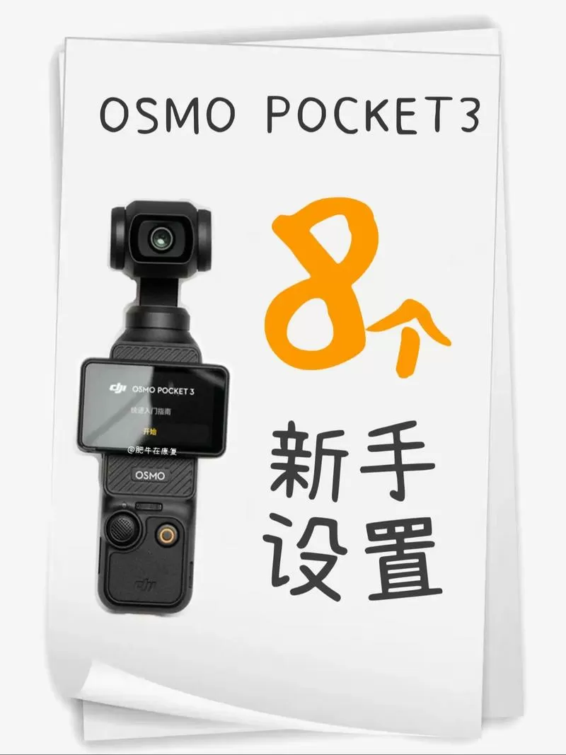 pocket最新版