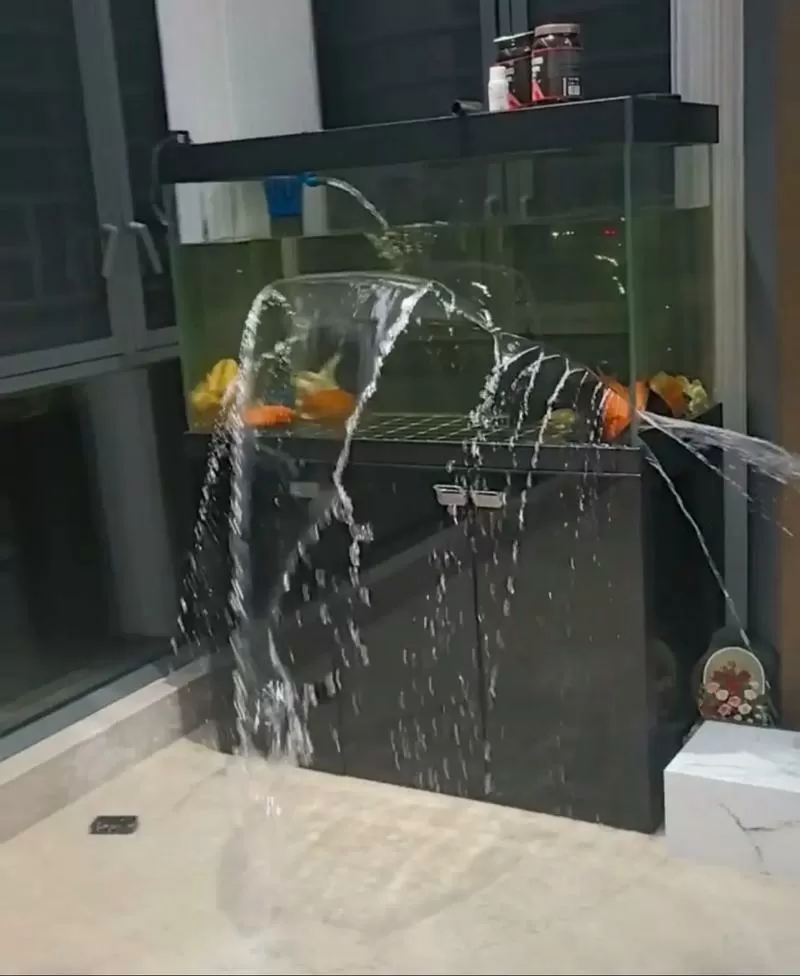 家中鱼缸突然爆裂预示什么