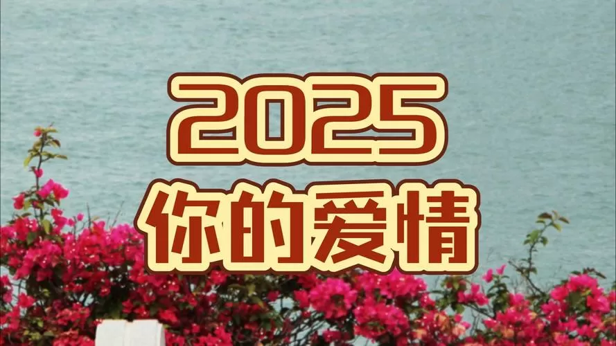 女人发2025爱情暗示截图
