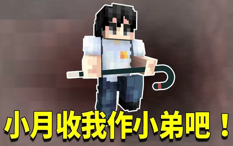 我的世界之阿阳解说虚无传