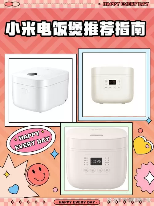 小米电饭煲煮米饭选择什么模式