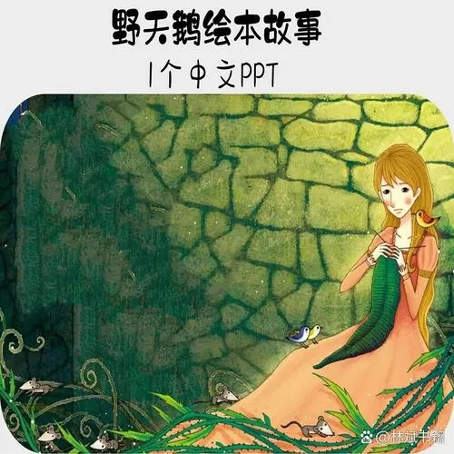 《野天鹅》故事全文