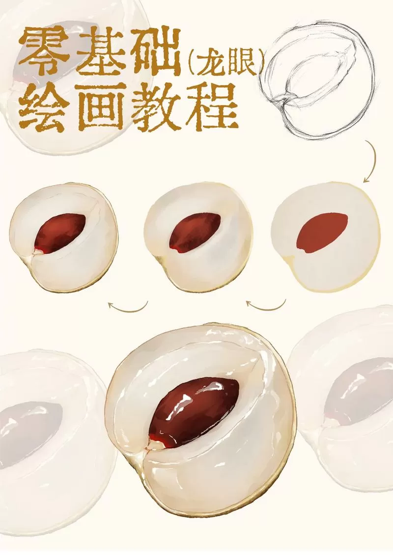 桂圆怎么扎成一把视频