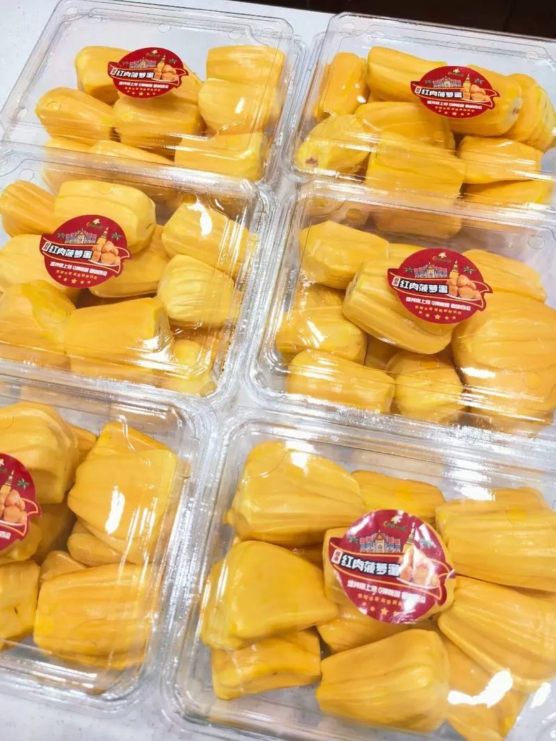 菠萝蜜一斤有几个果肉