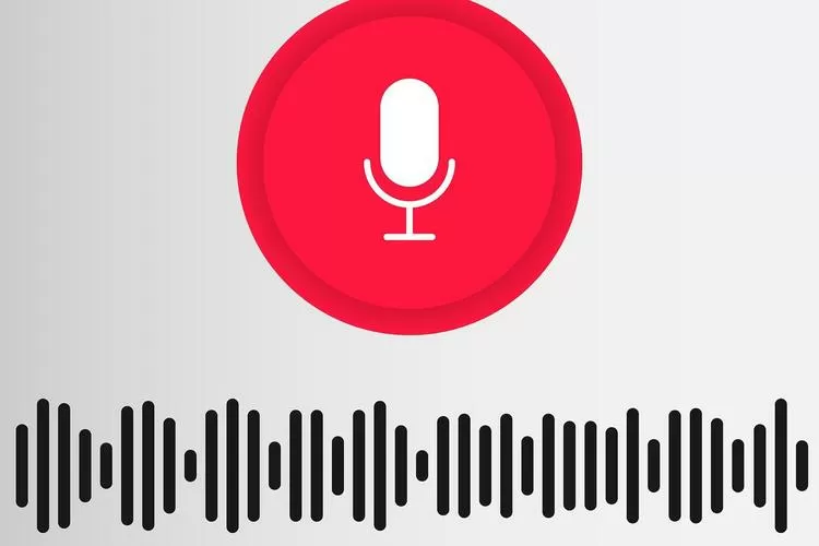 聊天变声器
