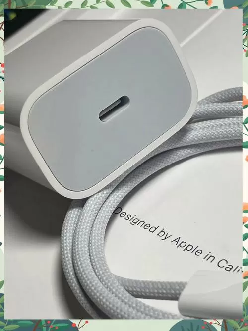 ipad盒子里有充电头吗