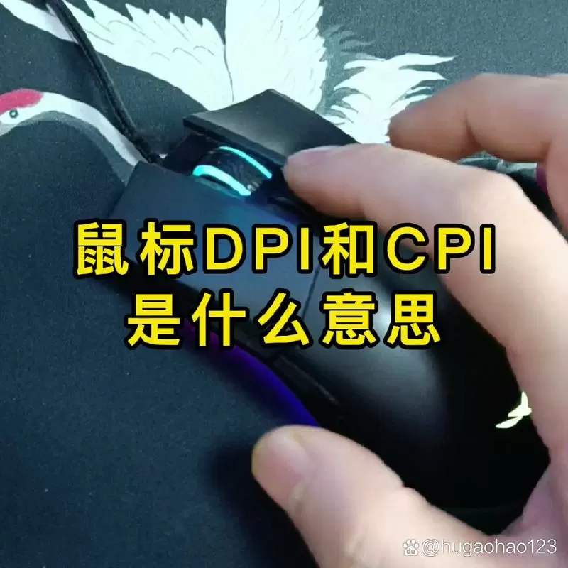 狗2买回来默认dpi是多少