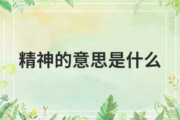 精神的三种意思