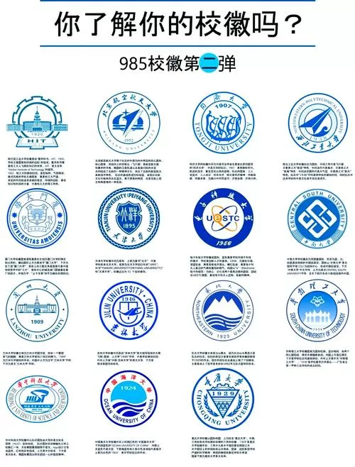 小白鸥和学霸哪个更好