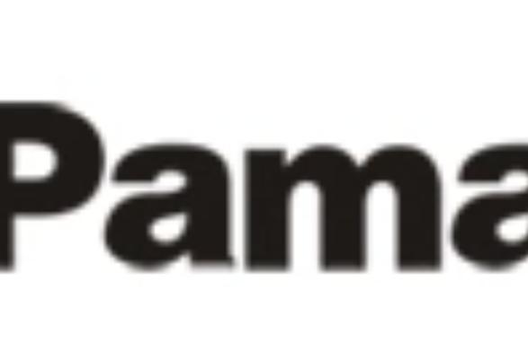 pamper中文意思