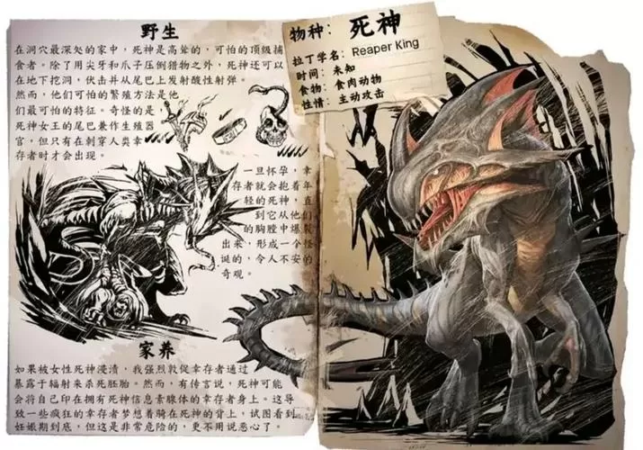 方舟手游生物等级上限