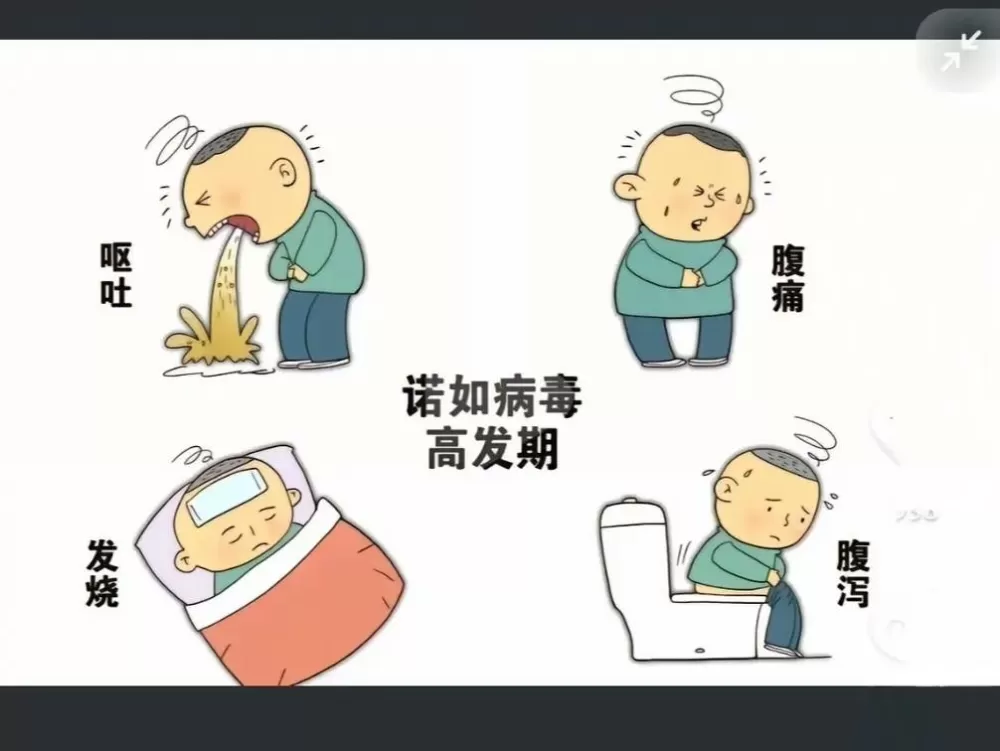 突然间连拉带吐怎么回事