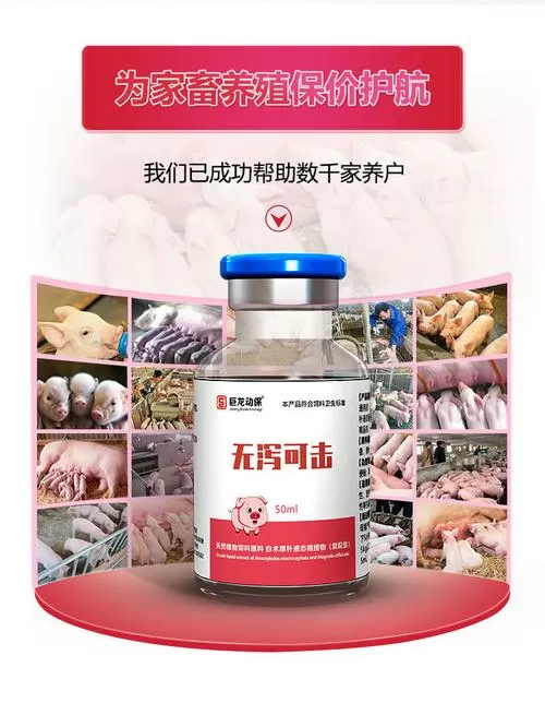 小猪拉稀用什么药