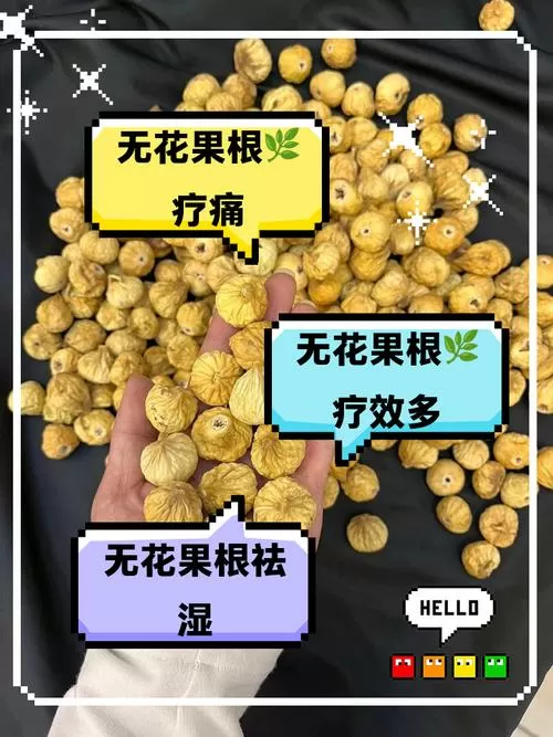 无花果根的药用功效与作用