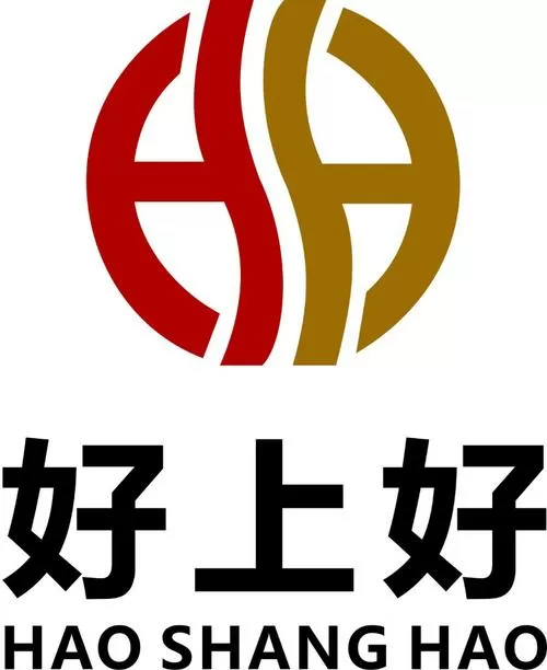 好上好公司简介